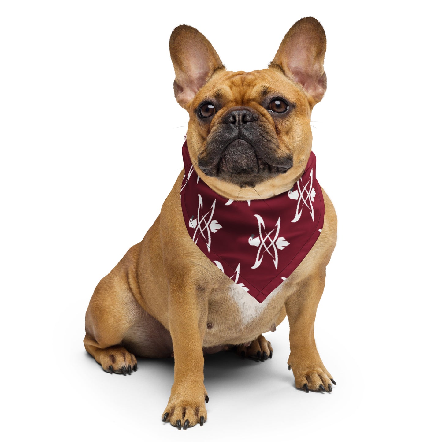 Coral Academy Elementary All-over Print Bandana